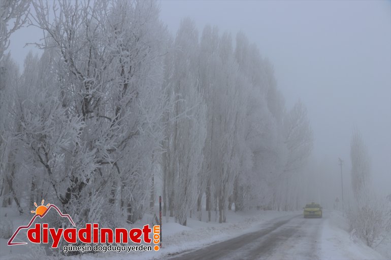 Ağrı da dondurucu soğuklar ile doğal güzellikler bir arada yaşanıyor8