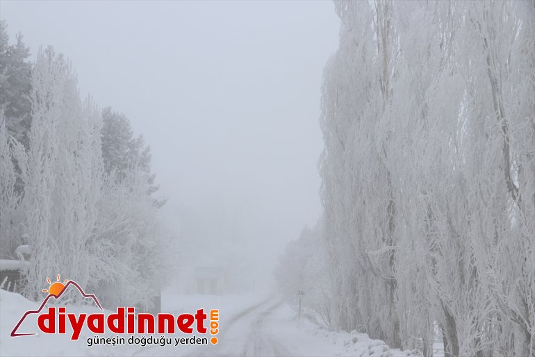 Ağrı'da soğuk hava etkisini sürdürüyor