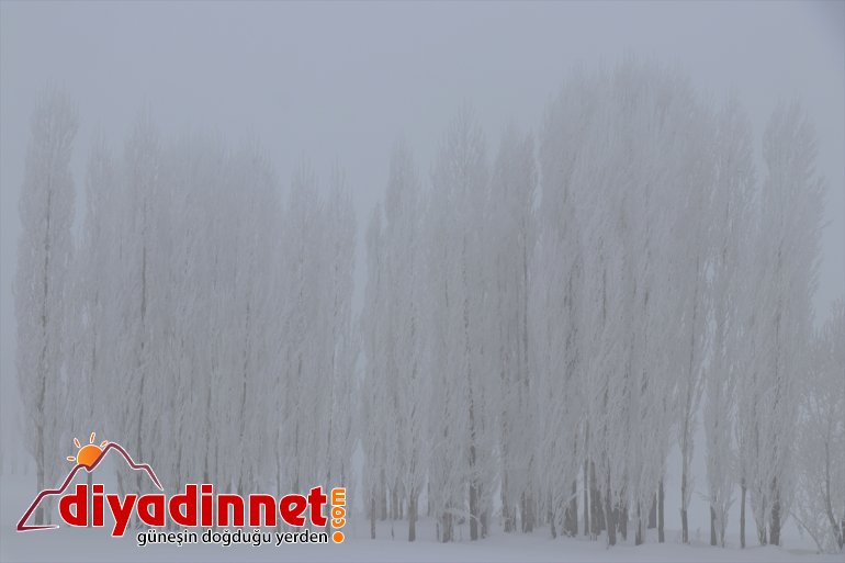 Ağrı da soğuk hava etkisini sürdürüyor2