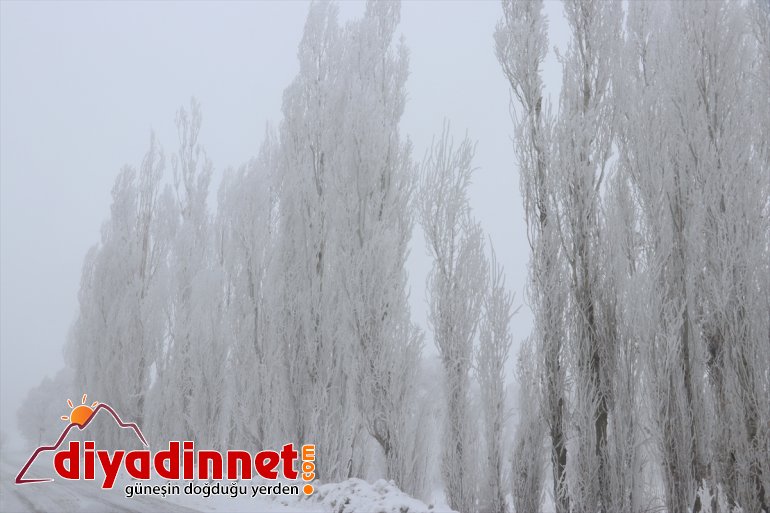 Ağrı da soğuk hava etkisini sürdürüyor13