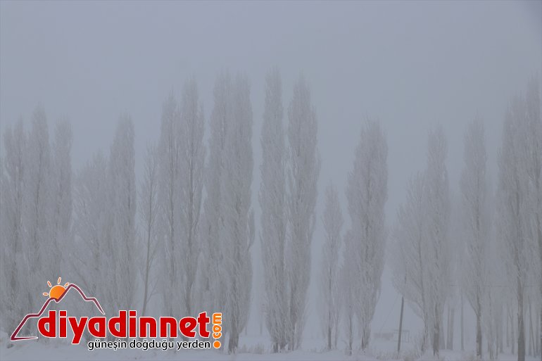 Ağrı da soğuk hava etkisini sürdürüyor14