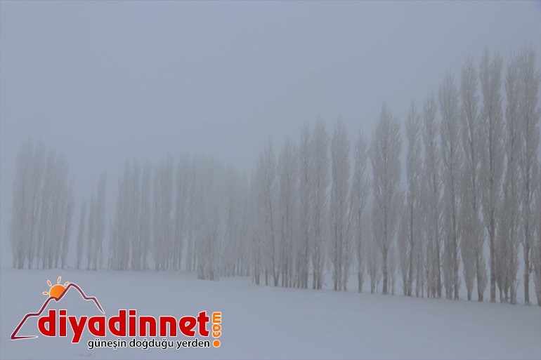 Ağrı da soğuk hava etkisini sürdürüyor16