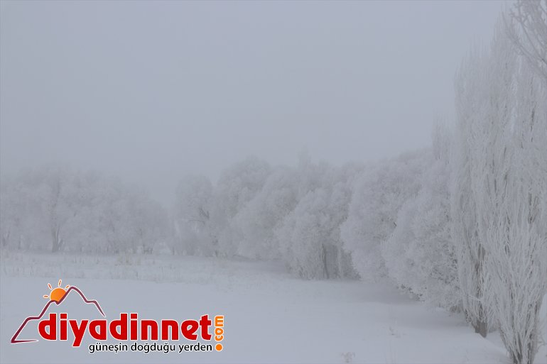 Ağrı da soğuk hava etkisini sürdürüyor3
