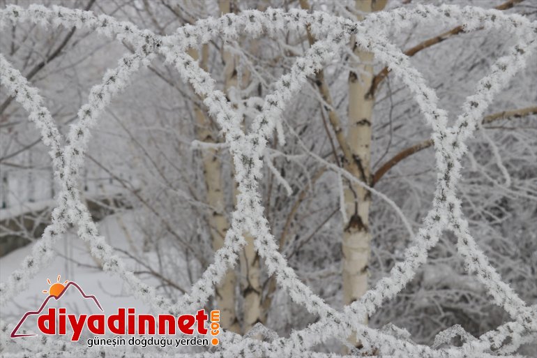 Ağrı da soğuk hava etkisini sürdürüyor5