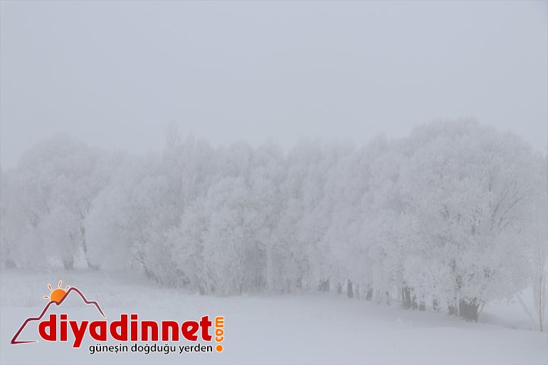 Ağrı da soğuk hava etkisini sürdürüyor7