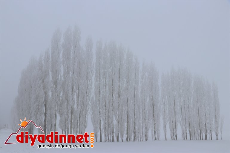 Ağrı da soğuk hava etkisini sürdürüyor9