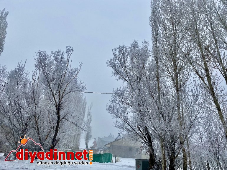 Ağrı da soğuk hava ve sis etkili oldu2