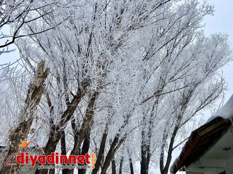 Ağrı da soğuk hava ve sis etkili oldu3