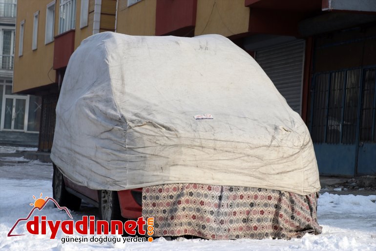 Ağrı da soğuk havanın etkisiyle dere ve nehirler dondu2