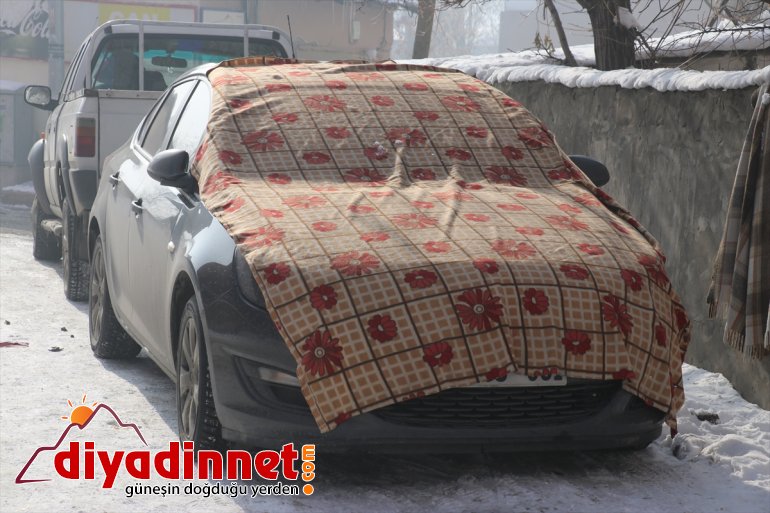 Ağrı da soğuk havanın etkisiyle dere ve nehirler dondu12