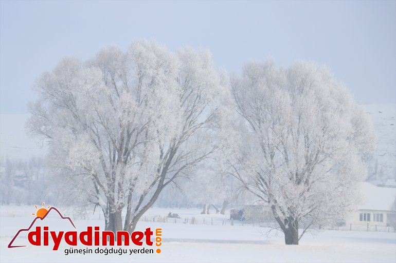 Ağrı da termometreler sıfırın altında dereceyi gösterdi2
