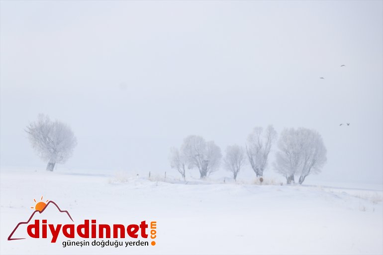 Ağrı da termometreler sıfırın altında dereceyi gösterdi3