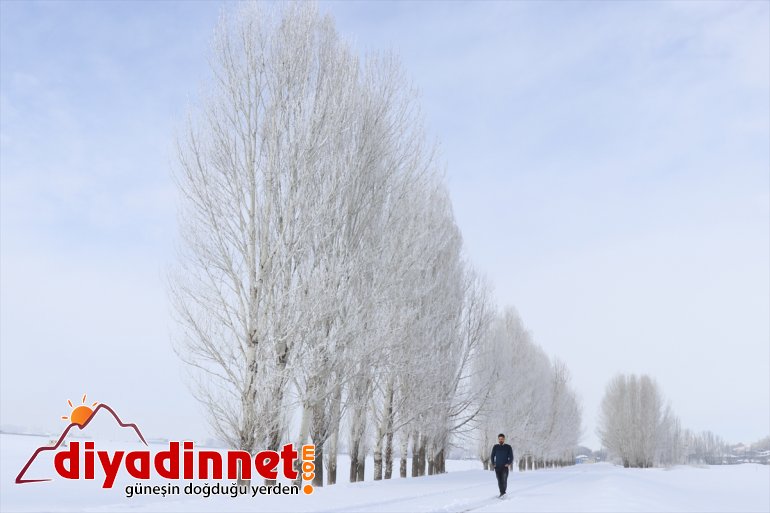 Ağrı da termometreler sıfırın altında dereceyi gösterdi4