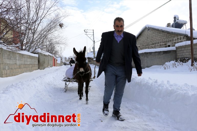 AĞRI için dağlardan karlı taşıyorlar dondurucu soğukta ot - Hayvanları 23