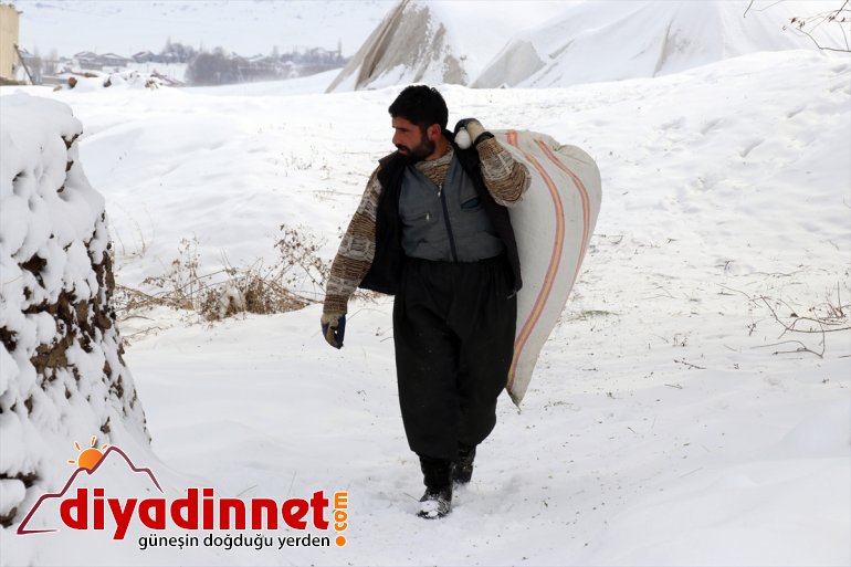 olan besicilerin sahibi 