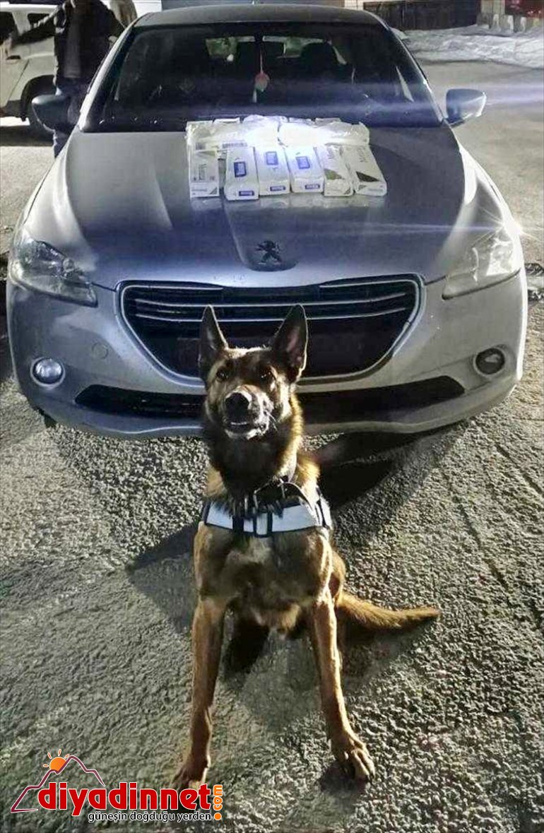 Bitlis'te bir otomobilde 17 kilo 228 gram sentetik uyuşturucu bulundu