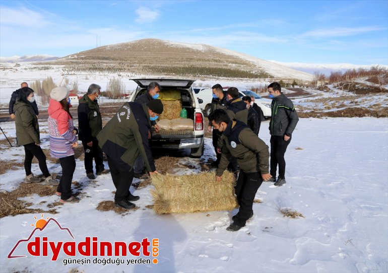 "Doğanın koruyucu bekçileri" sürdürülebilir yaban hayatı için görev yapıyor