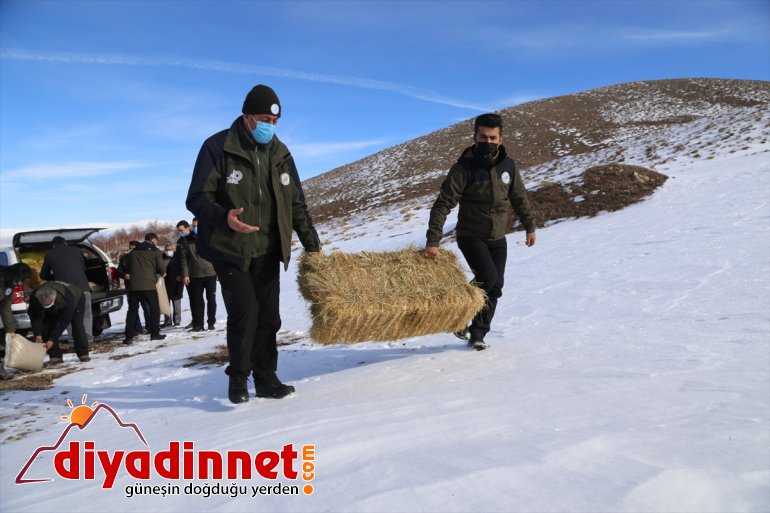 görev Doğanın bekçileri sürdürülebilir için koruyucu yapıyor hayatı yaban - ERZURUM 2