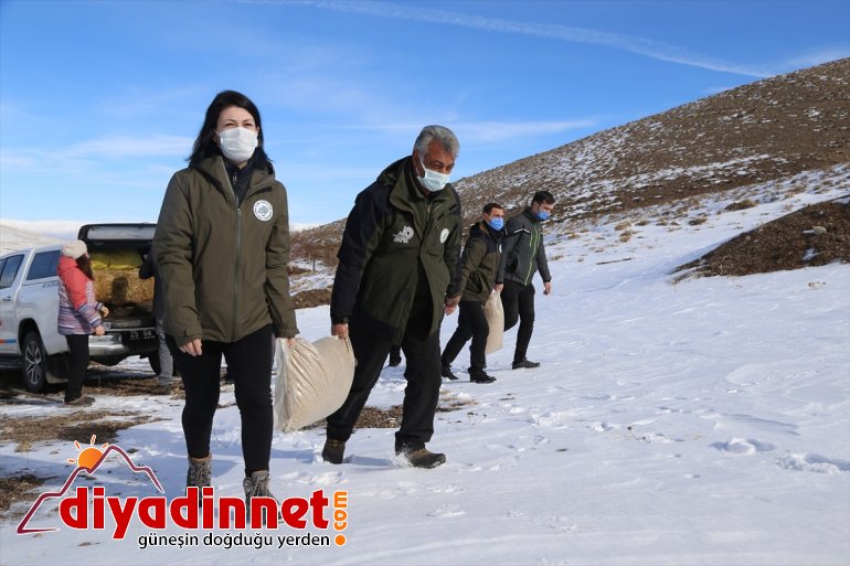 görev koruyucu sürdürülebilir için Doğanın yaban bekçileri yapıyor - hayatı ERZURUM 3