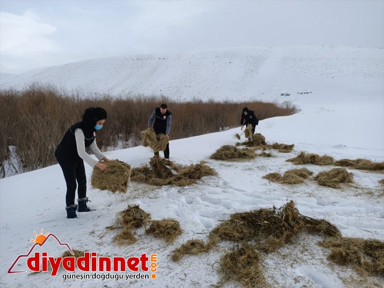 bekçileri Doğanın yapıyor yaban için hayatı koruyucu görev - ERZURUM sürdürülebilir 4