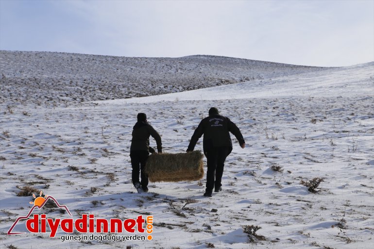 - koruyucu sürdürülebilir yaban hayatı Doğanın yapıyor görev için bekçileri ERZURUM 5