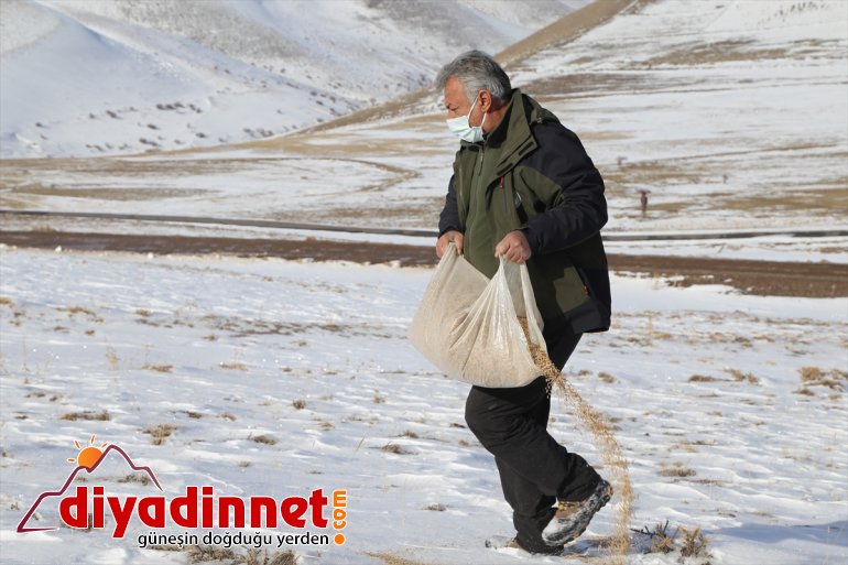 Doğanın bekçileri koruyucu yaban için sürdürülebilir - hayatı ERZURUM yapıyor görev 6