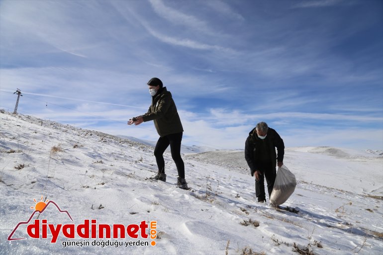 ERZURUM yaban için yapıyor bekçileri Doğanın koruyucu sürdürülebilir görev hayatı - 7