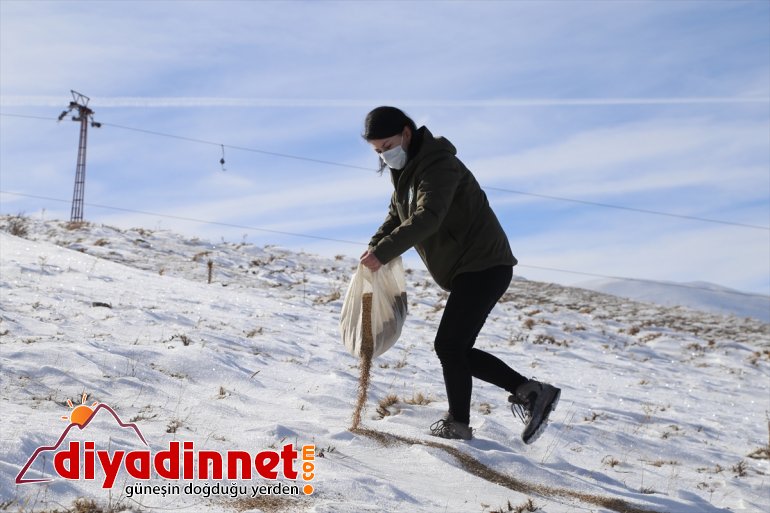 görev ERZURUM hayatı yaban koruyucu sürdürülebilir için Doğanın yapıyor - bekçileri 8