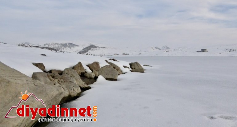 Kısmen buz tutan Yazıcı Barajı fotoğraf tutkunlarının ilgi odağı oldu1