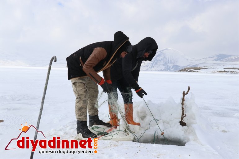 241 bin avı balık rakımlı Köylülerin kaplı gölde zorlu buzla 2 1