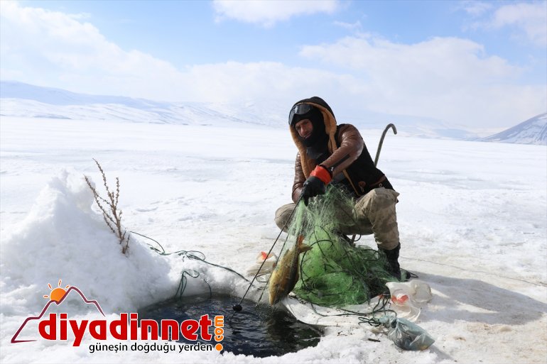 2 avı zorlu Köylülerin kaplı buzla 241 gölde rakımlı balık bin 2