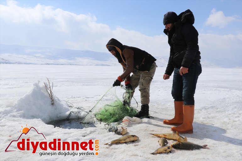 balık zorlu kaplı buzla gölde bin 2 avı Köylülerin 241 rakımlı 12