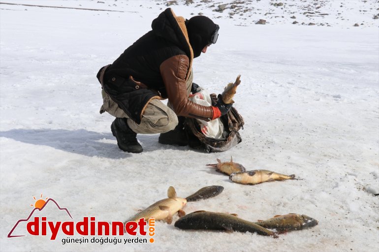 kaplı 241 buzla gölde rakımlı zorlu Köylülerin 2 bin balık avı 13