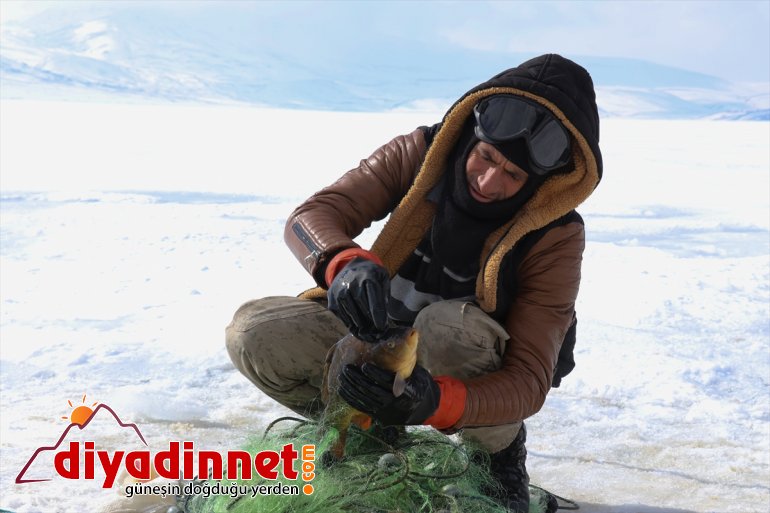 kaplı rakımlı bin balık zorlu 2 gölde buzla Köylülerin avı 241 14