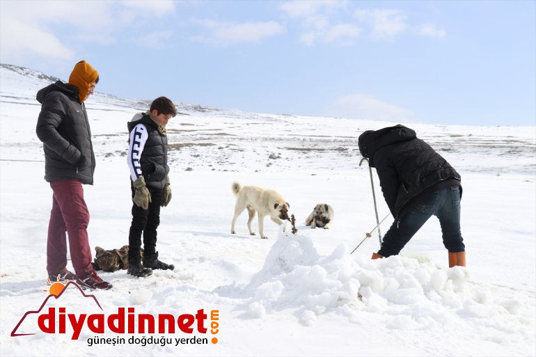 zorlu kaplı bin avı balık rakımlı Köylülerin 241 2 gölde buzla 15
