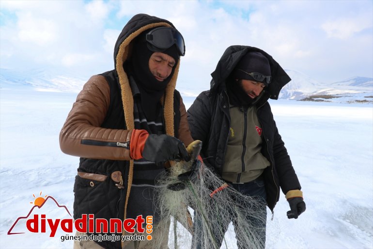 kaplı bin 241 balık rakımlı zorlu gölde avı 2 buzla Köylülerin 16