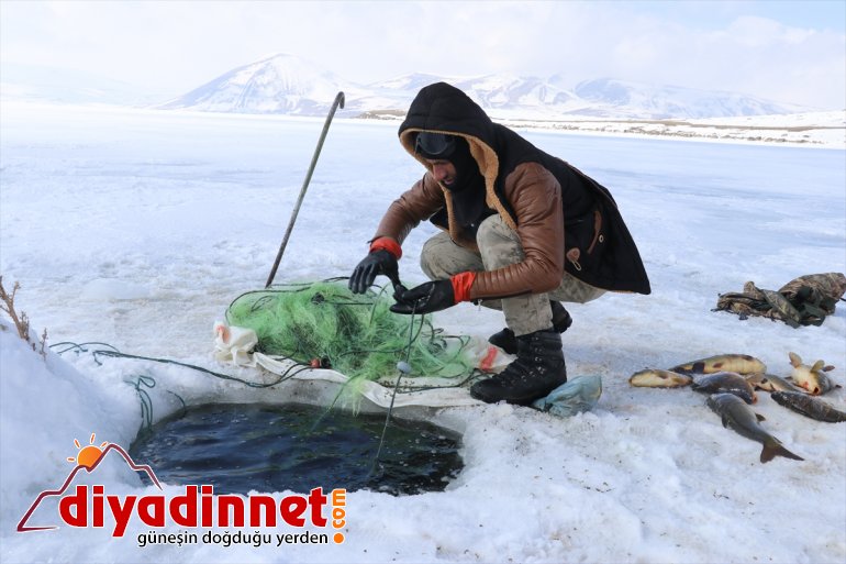 gölde 241 balık kaplı rakımlı buzla Köylülerin 2 bin zorlu avı 3