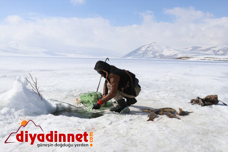 241 rakımlı balık zorlu avı gölde buzla 2 Köylülerin kaplı bin 7