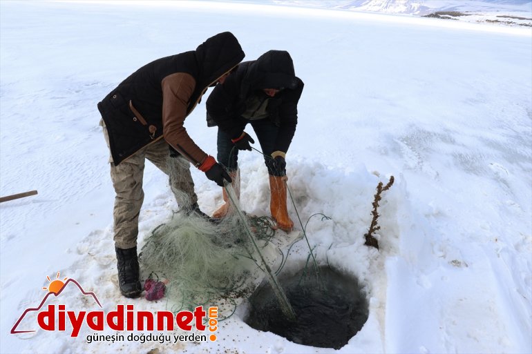 241 buzla kaplı balık gölde zorlu Köylülerin rakımlı 2 avı bin 8