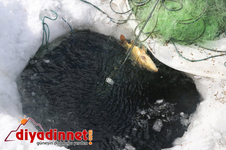 241 2 gölde balık rakımlı avı zorlu bin Köylülerin buzla kaplı 9