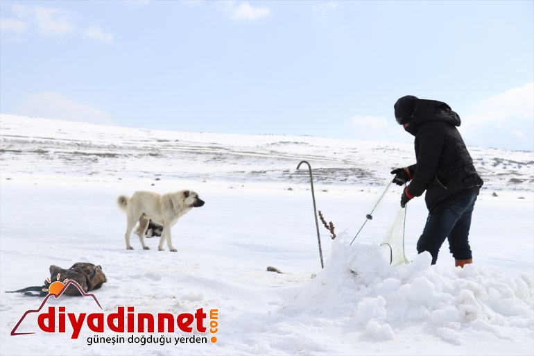 rakımlı bin balık gölde avı 241 kaplı 2 zorlu buzla Köylülerin 10