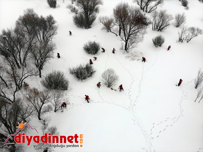 Türk Kızılay gönüllüleri, yaban hayvanları için dağlık bölgelere yem bıraktı
