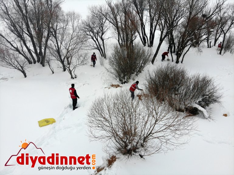 yaban bölgelere yem Kızılay dağlık bıraktı için Türk gönüllüleri, hayvanları 2
