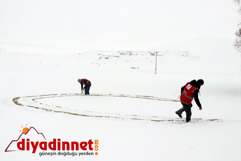 bölgelere Türk yem için dağlık Kızılay gönüllüleri, bıraktı yaban hayvanları 12