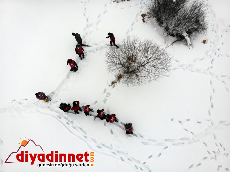 yaban Kızılay dağlık bölgelere bıraktı yem Türk gönüllüleri, hayvanları için 14