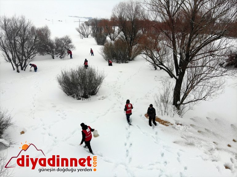 hayvanları gönüllüleri, bıraktı bölgelere için yaban Kızılay Türk dağlık yem 18