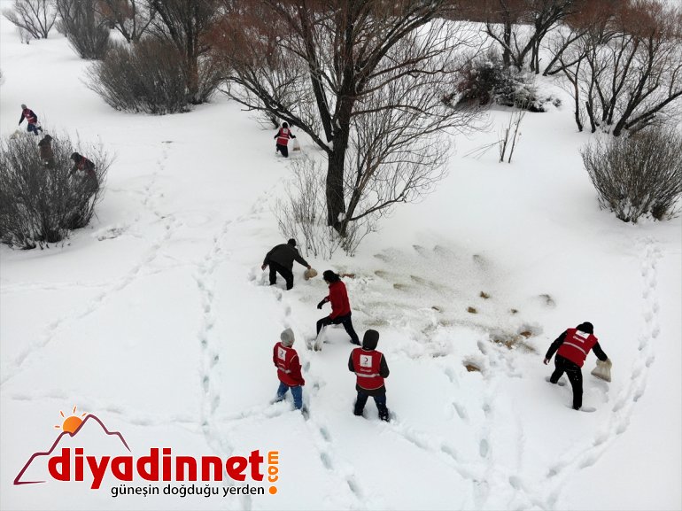 dağlık Türk bölgelere gönüllüleri, bıraktı yaban yem hayvanları için Kızılay 19