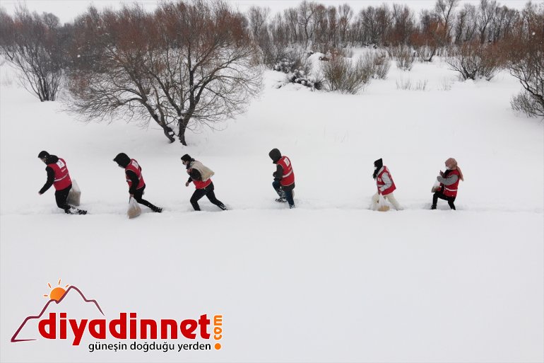 dağlık hayvanları Kızılay yaban için gönüllüleri, bıraktı Türk bölgelere yem 23
