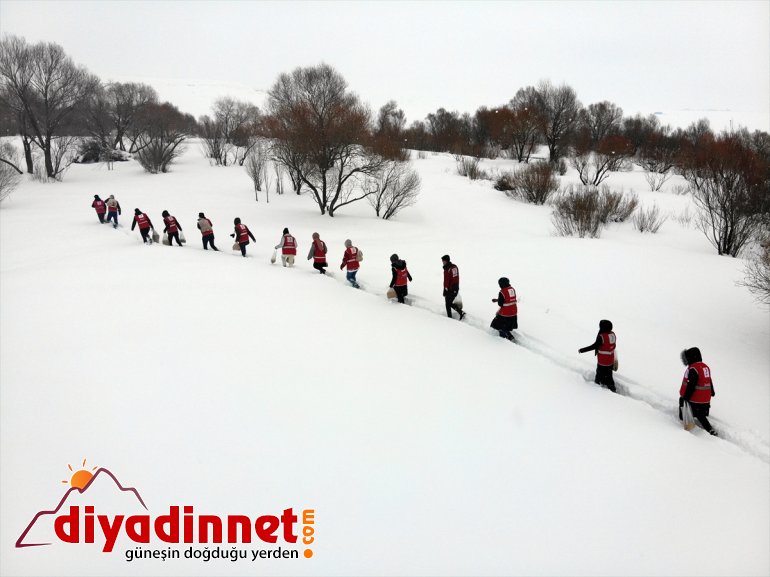 bıraktı gönüllüleri, bölgelere yem Türk yaban Kızılay için hayvanları dağlık 5