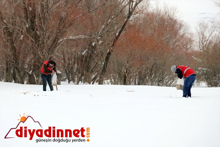 bölgelere dağlık yem hayvanları gönüllüleri, Türk yaban için bıraktı Kızılay 7